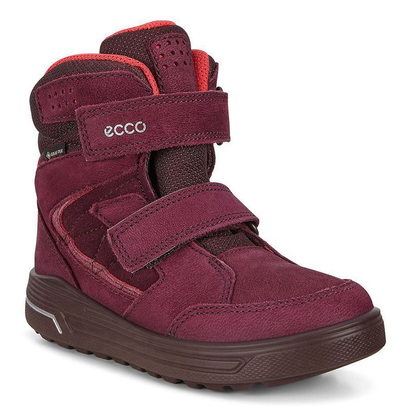 Kids Ecco Urban Snowboarder - Boots Purple - India IGQMDF052